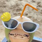 Phạm Thị Thúy Vy Profile Picture