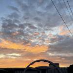 Vũ Tiến Nam Profile Picture