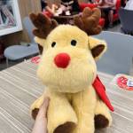 Hồ Thị Thanh Loan Profile Picture