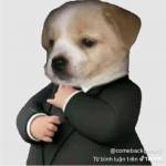 Nguyễn Đình Khôi Profile Picture