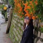 Nguyễn Thị Anh Đào Profile Picture