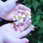 Ngô Đại Quyền Profile Picture