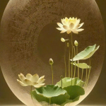 Huỳnh Thị Thanh Xuân Profile Picture